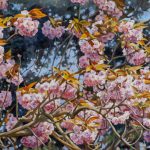 Gemälde von Julia Belot: Kirschblüte, Öl auf Leinwand, 80 cm x 260 cm, 2019
